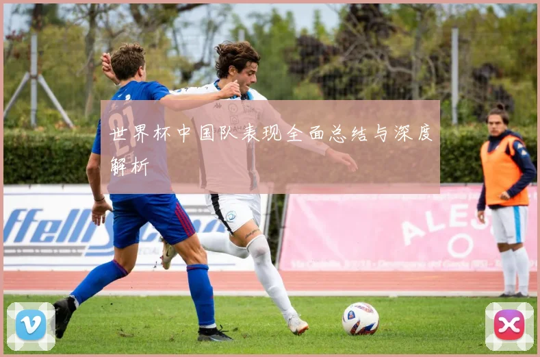 世界杯中国队表现全面总结与深度解析