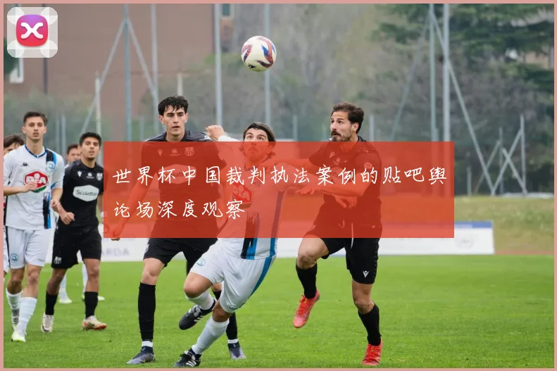 世界杯中国裁判执法案例的贴吧舆论场深度观察