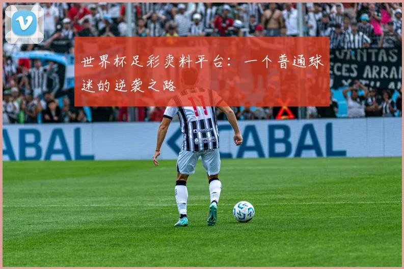 世界杯足彩卖料平台:一个普通球迷的逆袭之路