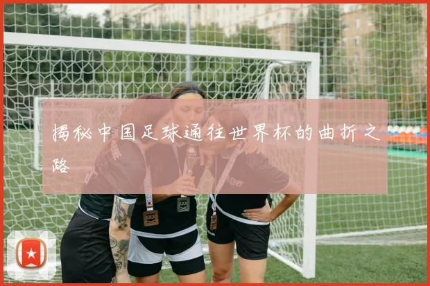 揭秘中国足球通往世界杯的曲折之路