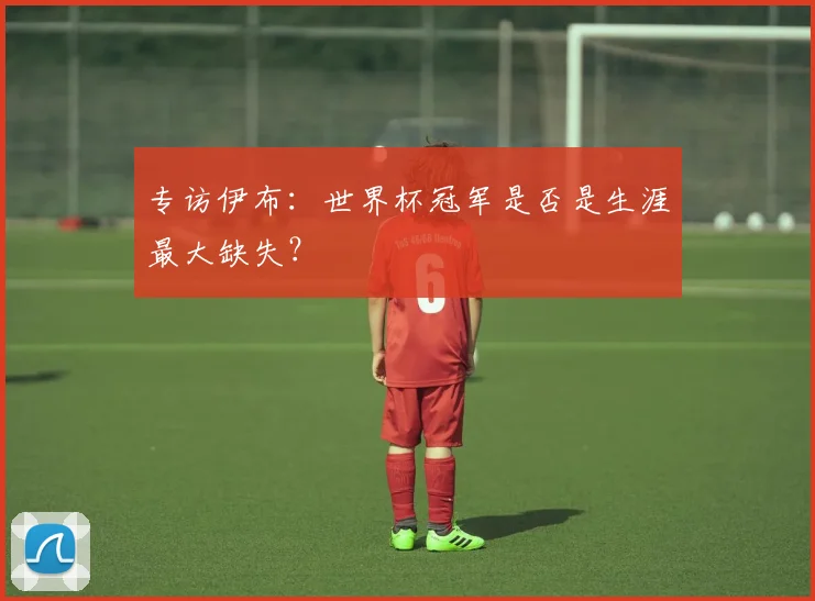 专访伊布:世界杯冠军是否是生涯最大缺失?